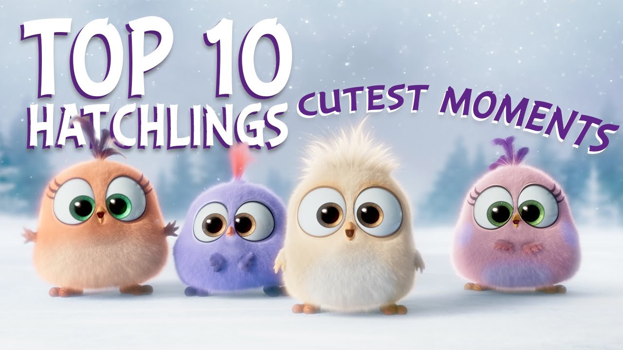 Angry Birds | Top 10 Hatchlings Cutest Moments