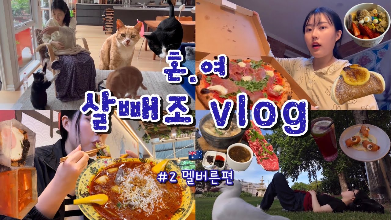 [🇦🇺혼.여 브이로그#2] 멜버른 가서 한 일: 고양이 빗질하기🐱🪮 비행기 냅다 취소당하고 투어 날려먹어도 행복하면 됐어~💖