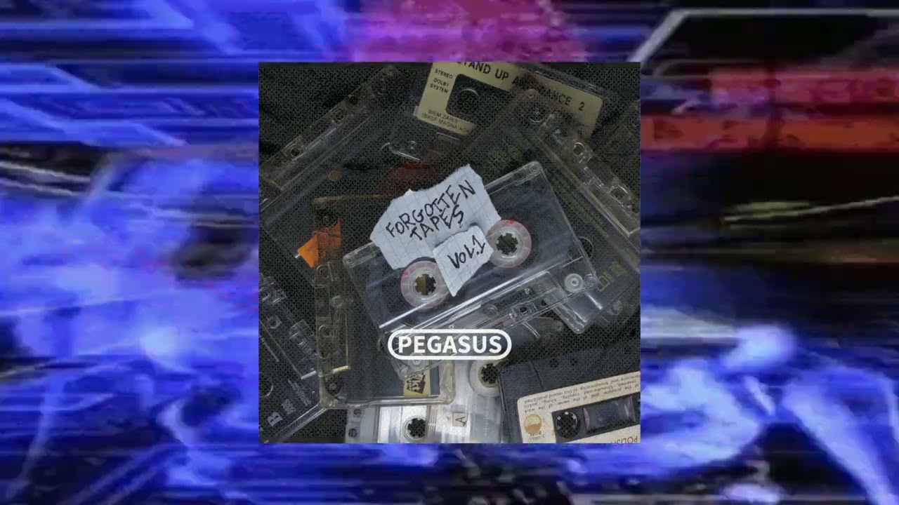 PEGASUS - Prefight 1994
