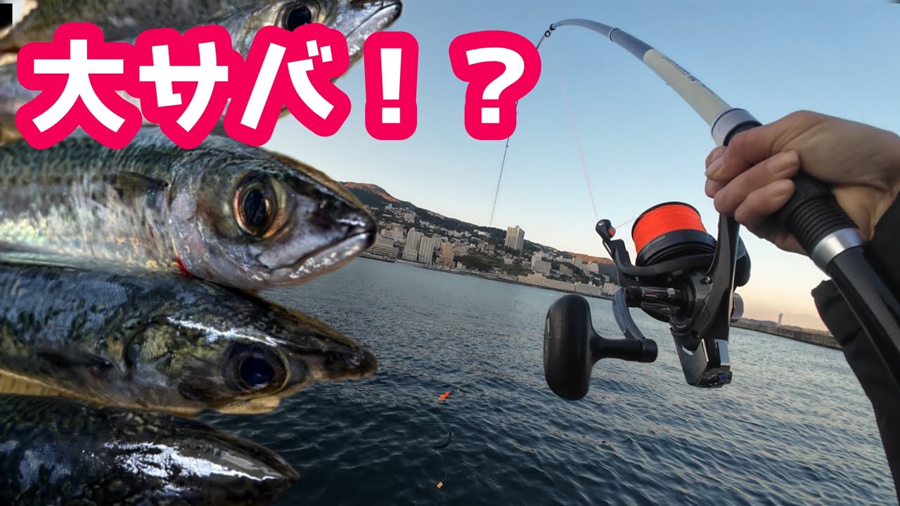 【熱海】カマス待ちでカゴ釣り…のはずが大サバ爆釣！