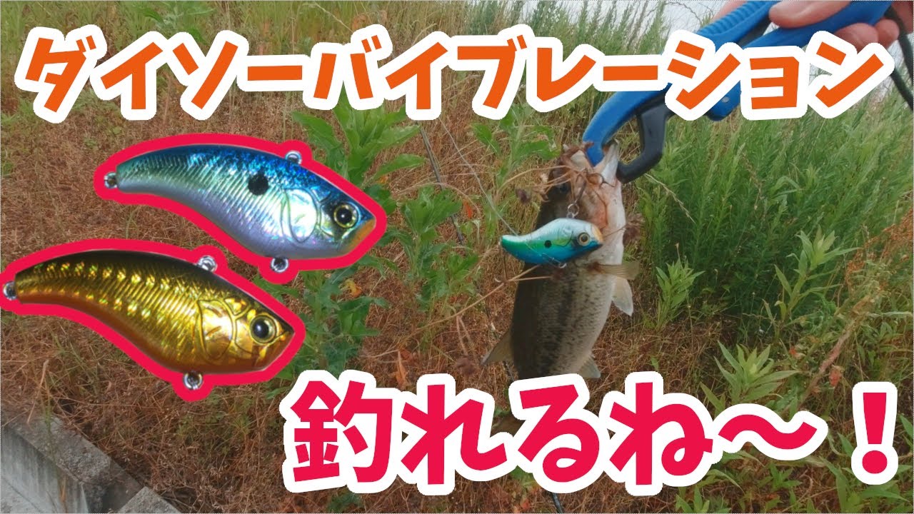 （実釣動画あり！）大爆釣！Newダイソーバイブレーションのポテンシャルが高過ぎるｗ