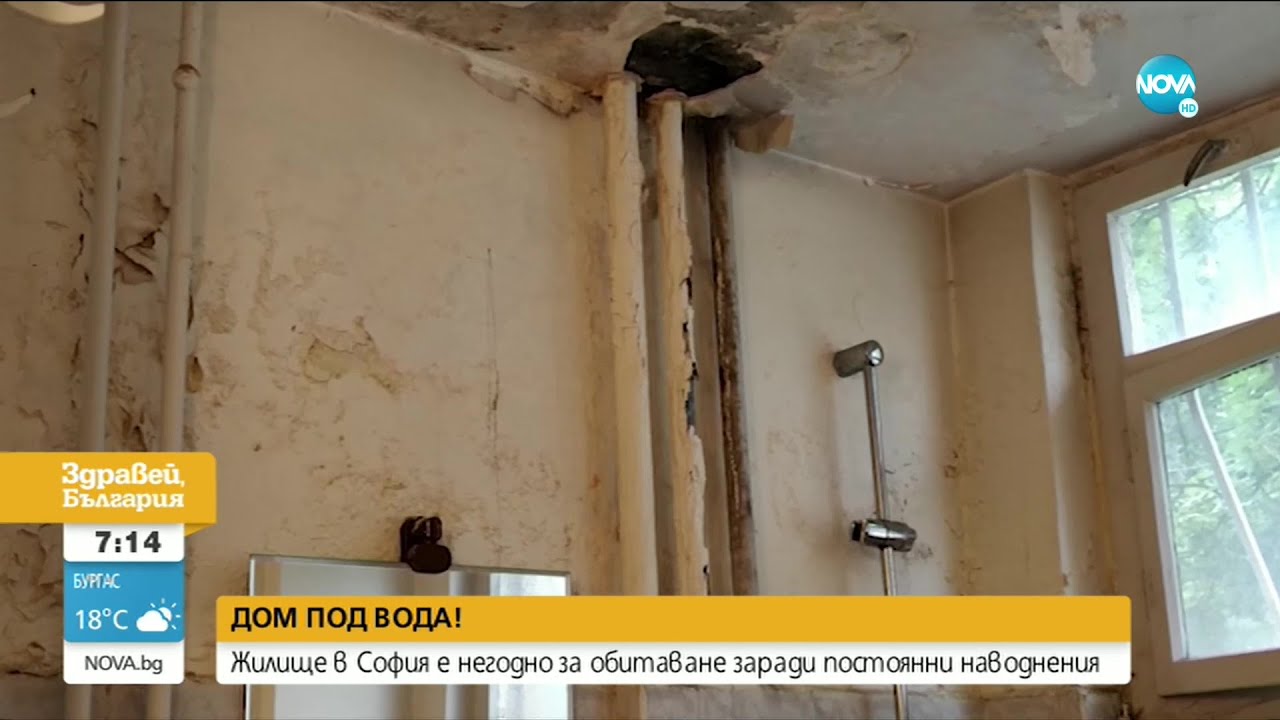 Течове съсипват апартамент, дори съдът засега е безсилен - Здравей, България (24.08.2020)