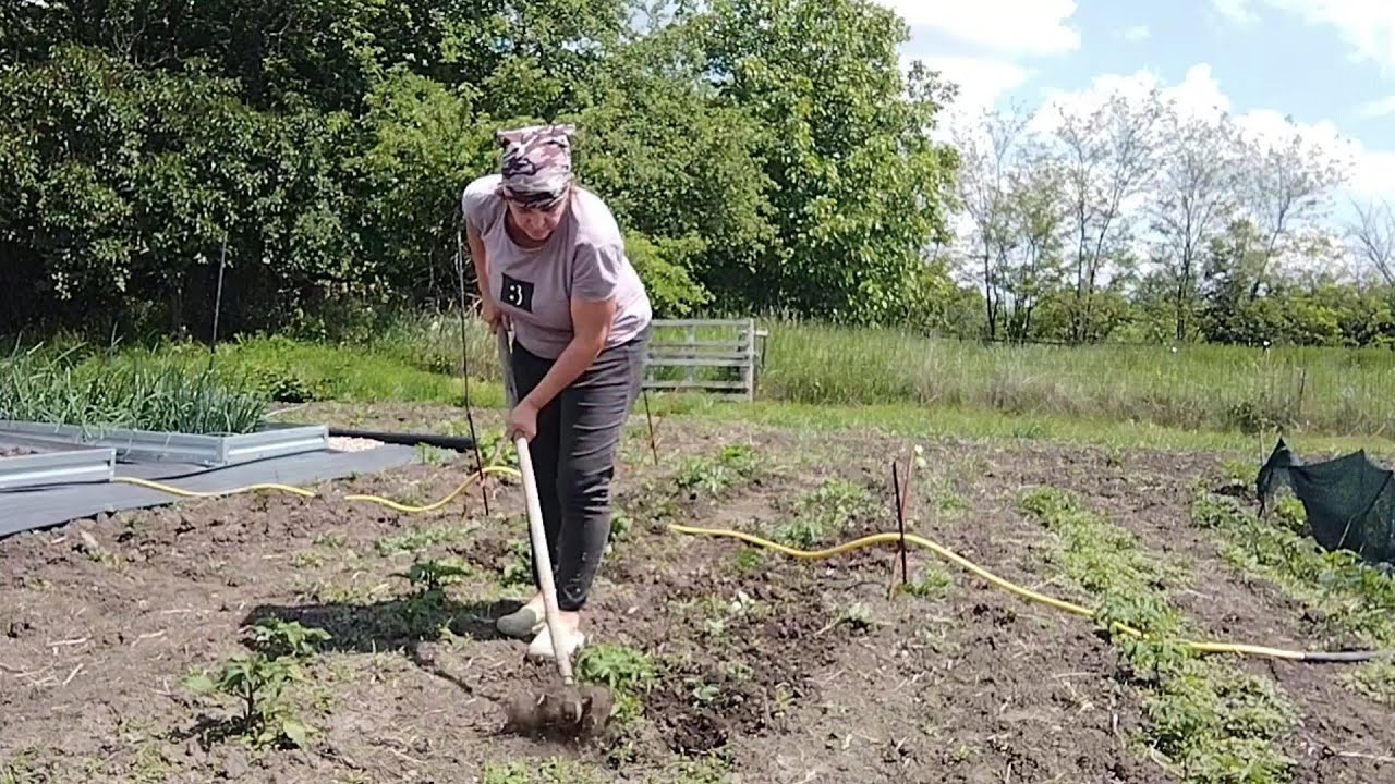 А на Хуторе снова работа/все цветет и пахнет/Ставрополье