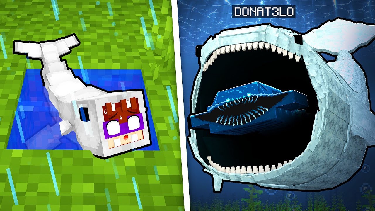 CICLO de VIDA do THE BLOOP no Minecraft! ‹ DONAT3LO ›