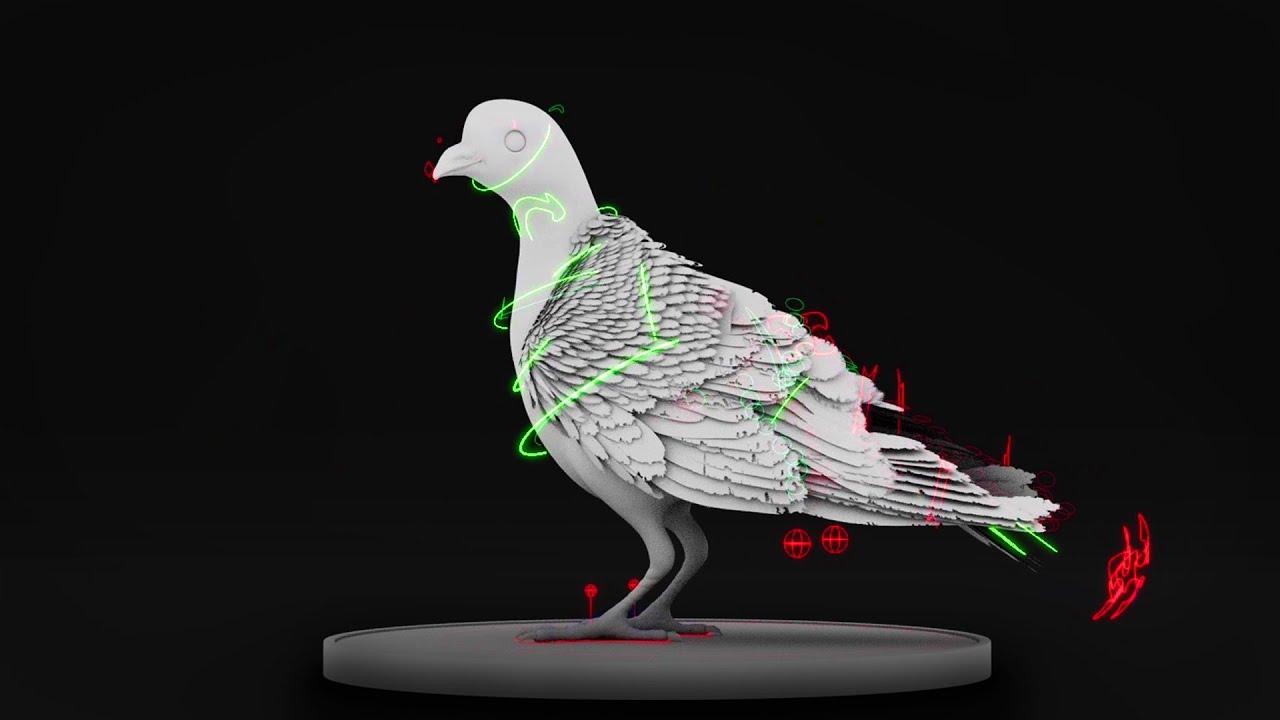 Rigreel 2025 - Bird dynamic rig maya