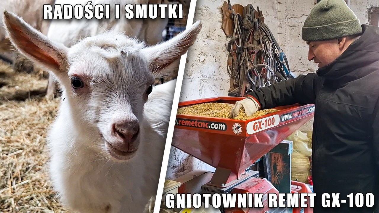 Radości i smutki / gniotownik Remet GX-100