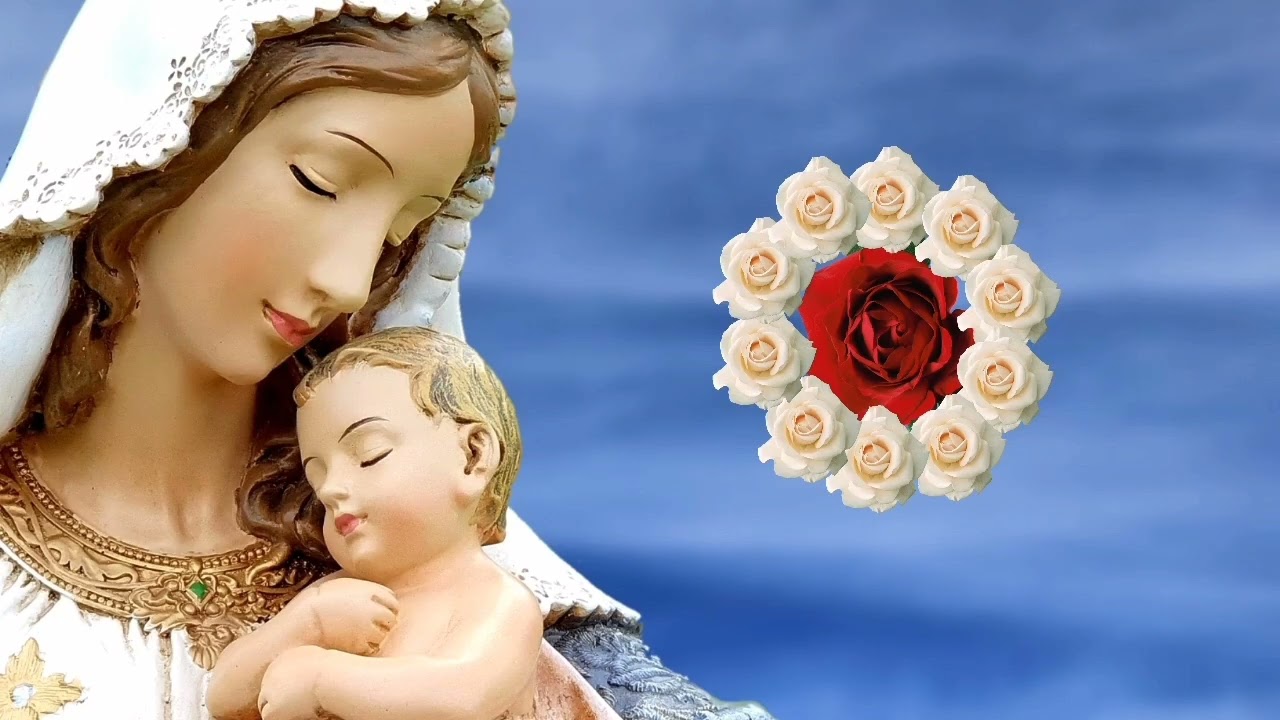 Rosario del MARTES 17 de FEBRERO | Misterios DOLOROSOS | Wilson Tamayo