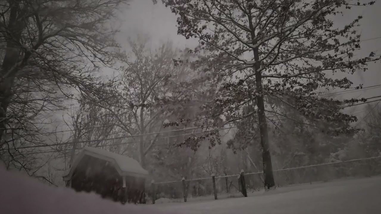 Deep Winter Snowfall ❄️🌙