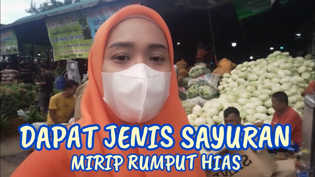 DAPET JENIS SAYURAN MIRIP RUMPUT HIAS 🥴😲🥸🤥