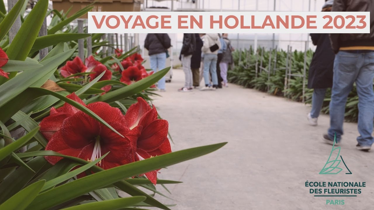 Voyage en Hollande 2023 - L'expérience unique de nos apprentis fleuristes !
