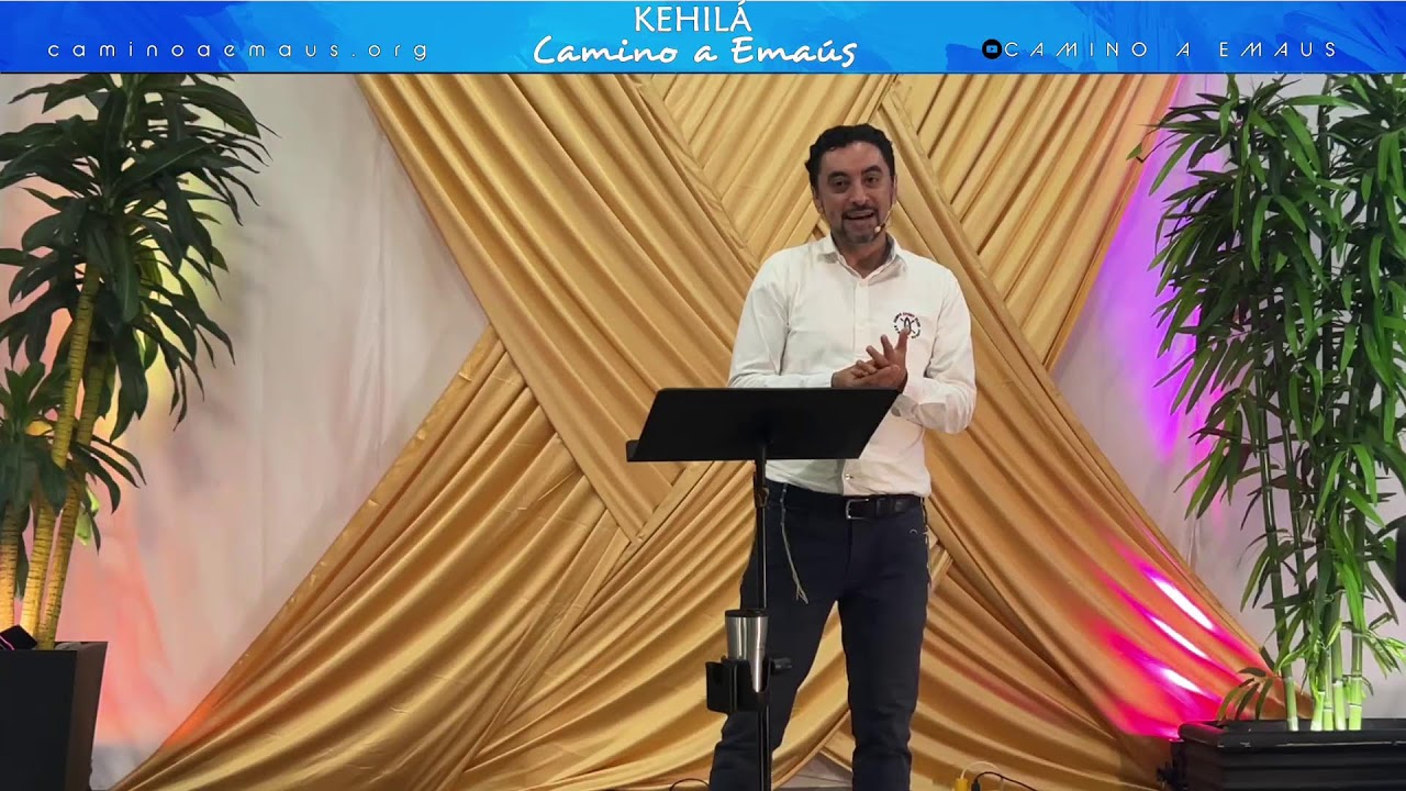 [Live] Bienvenidos al servicio vespertino de Shabat | Genesis 1:28-31