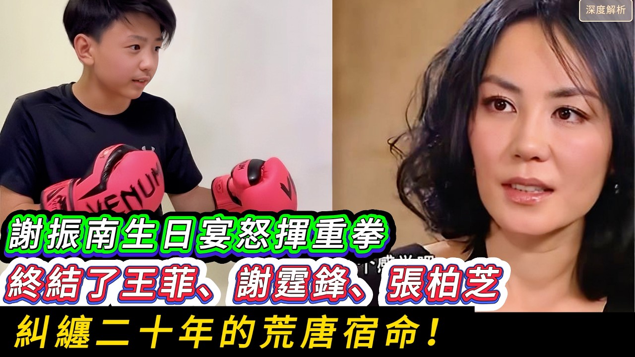謝振南十六歲的決裂一拳，打碎了王菲的天后神格，也扇醒了跪地求饒的謝霆鋒：揭秘張柏芝隱忍二十載，在最混亂的宴會現場，如何迎來最解氣的救贖？