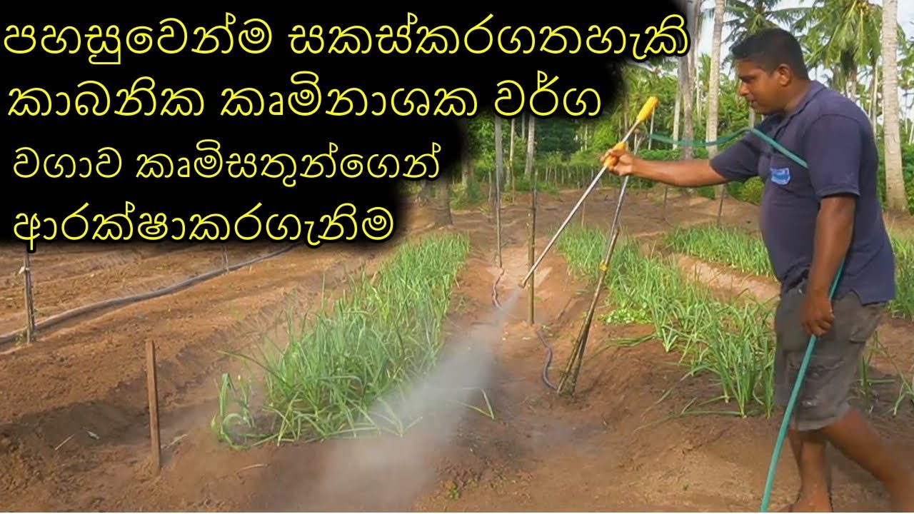 කාබනික කෘමිනාශක වර්ග සකස්කිරිම හා වගාවට යෙදීම Formulation of organic insecticides kruminasaka