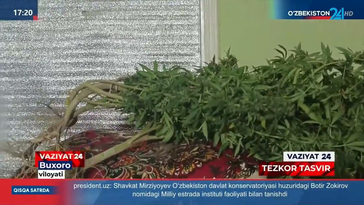 Hududlarda o'tkazilayotgan 