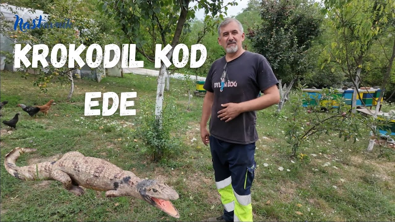 Pronašao sam krokodila u Novom Šeheru