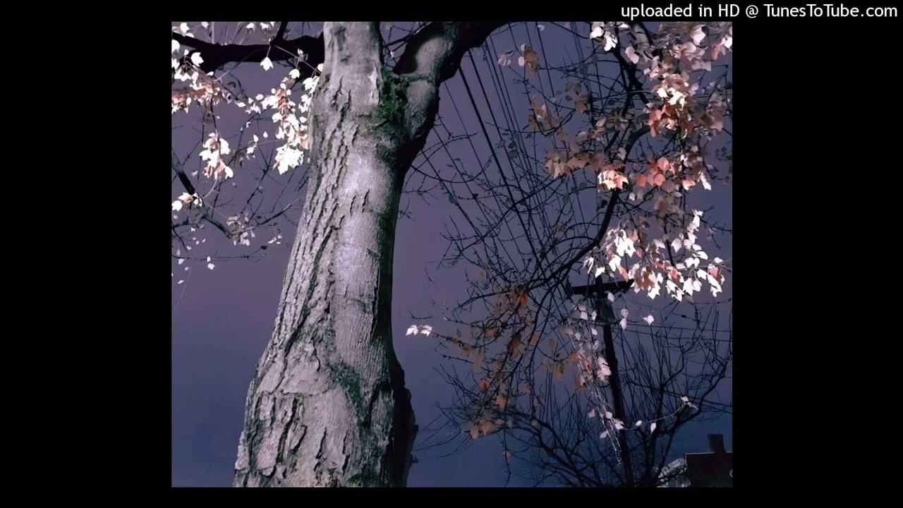 (free) diary plugg decago jkjmetasco type beat 'emo winter' @ fujiamo corn stella
