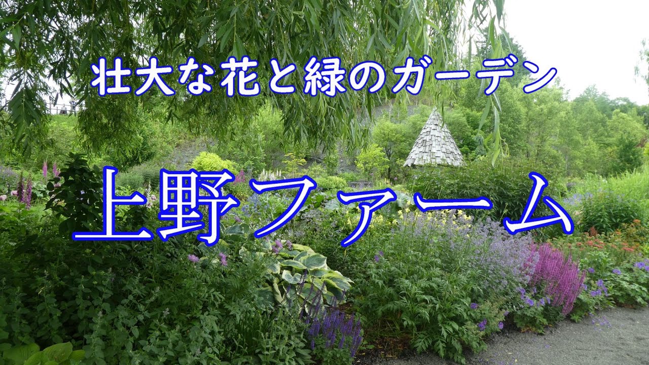 幻想的なガーデンを歩いてみた【上野ファーム】