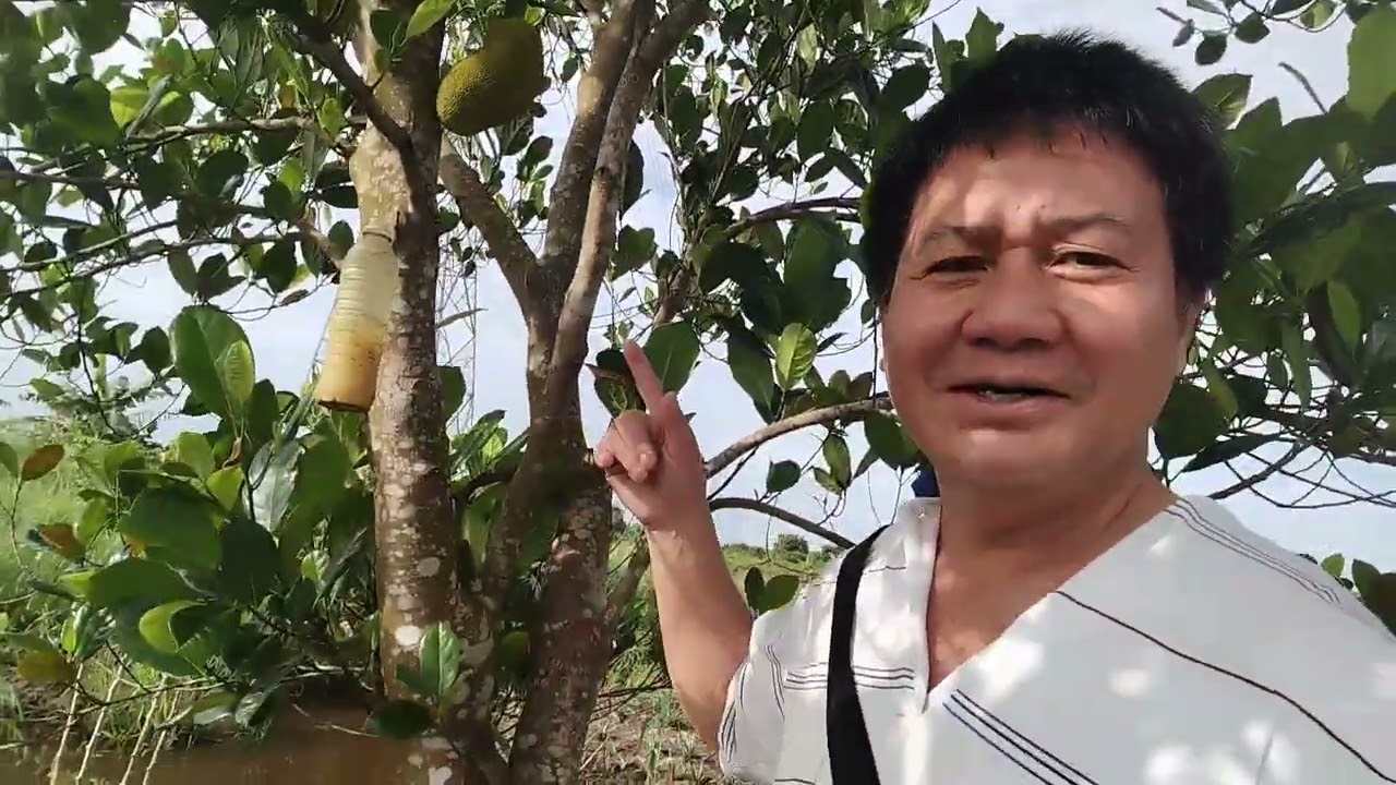 DAMAI/AMAN DI SINI