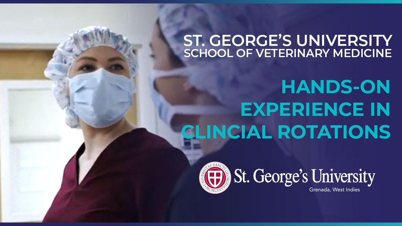SGU Student Brittany Hovan Gives Insights on Her Vet Clinical Year