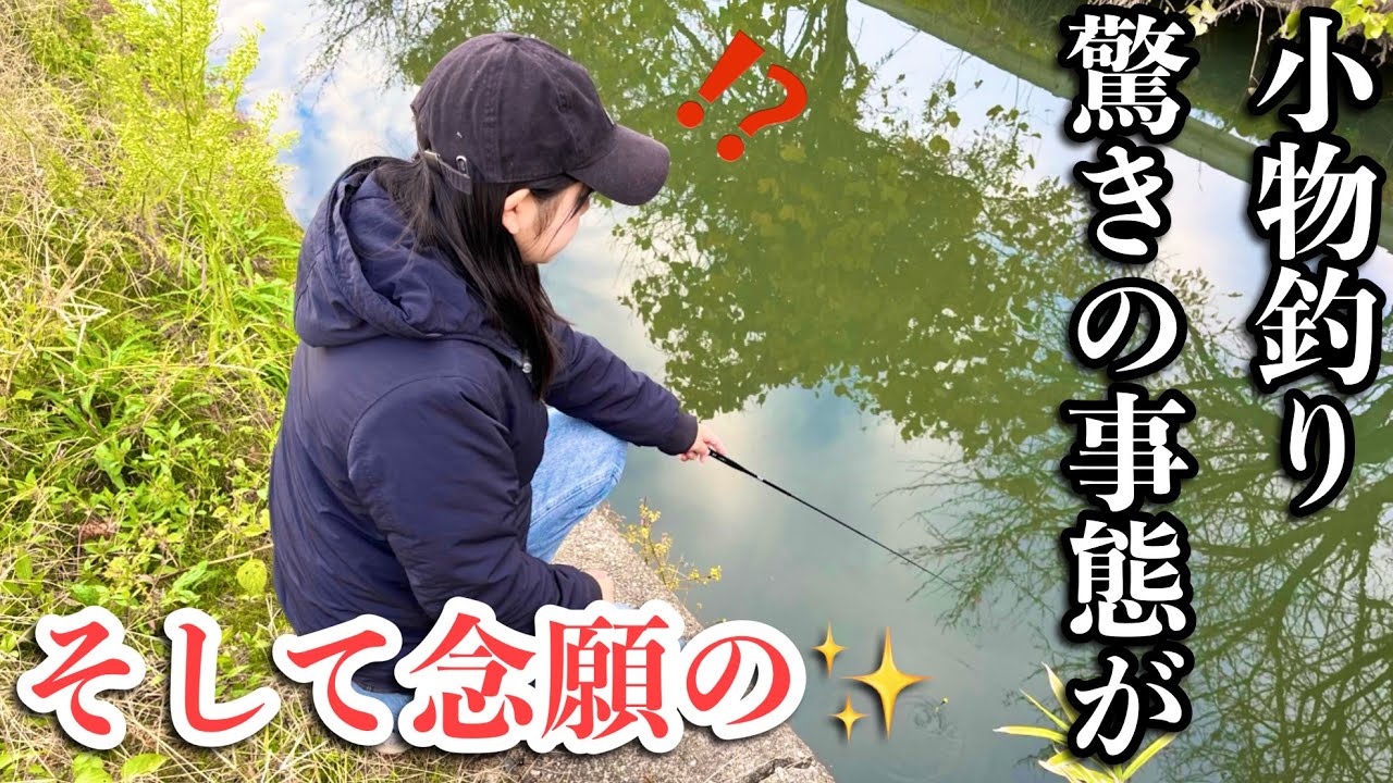 タナゴ釣り行ったら、釣り場が驚きの事態に。そんななか釣れたのは念願の！【小物釣り】【水路】