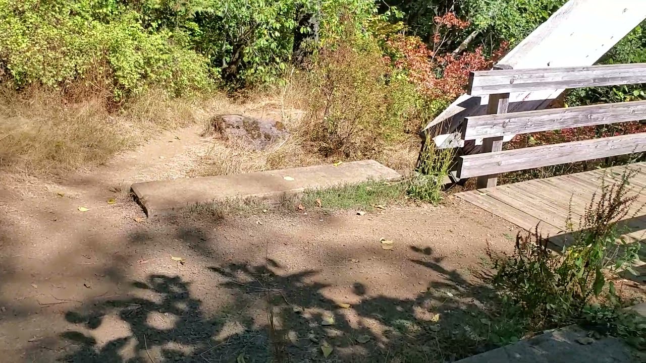 Entire Wilson River trail