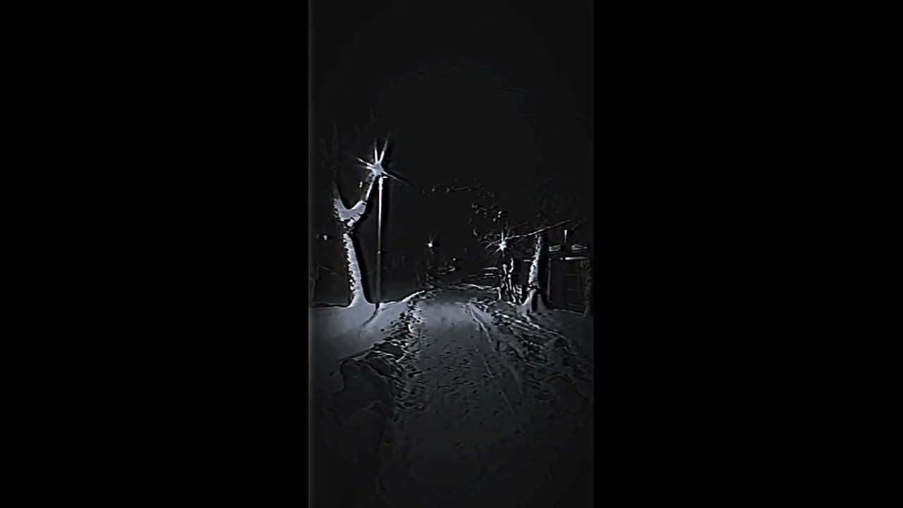 𝘸𝘩𝘢𝘭𝘦𝘴𝘰𝘧𝘥𝘳𝘦𝘢𝘮𝘴 - farewell, my dear stranger