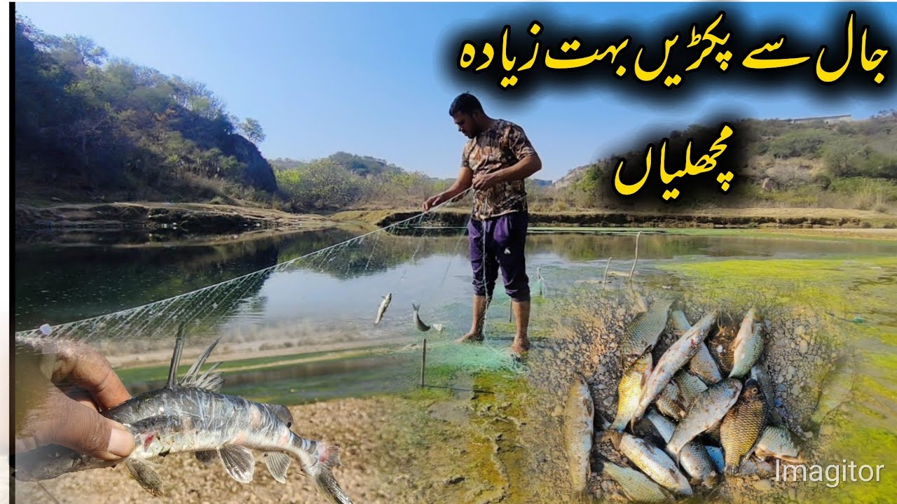 Fishing at Fresh stream water || Machali ka shikar #fishing #fishhunting #fishinginpakistan 
