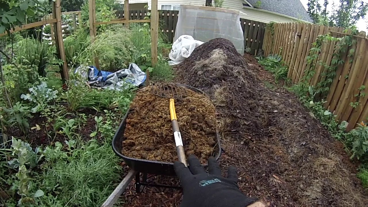 Thermophilic composting with fresh manure, 18 day composting, berkeley method