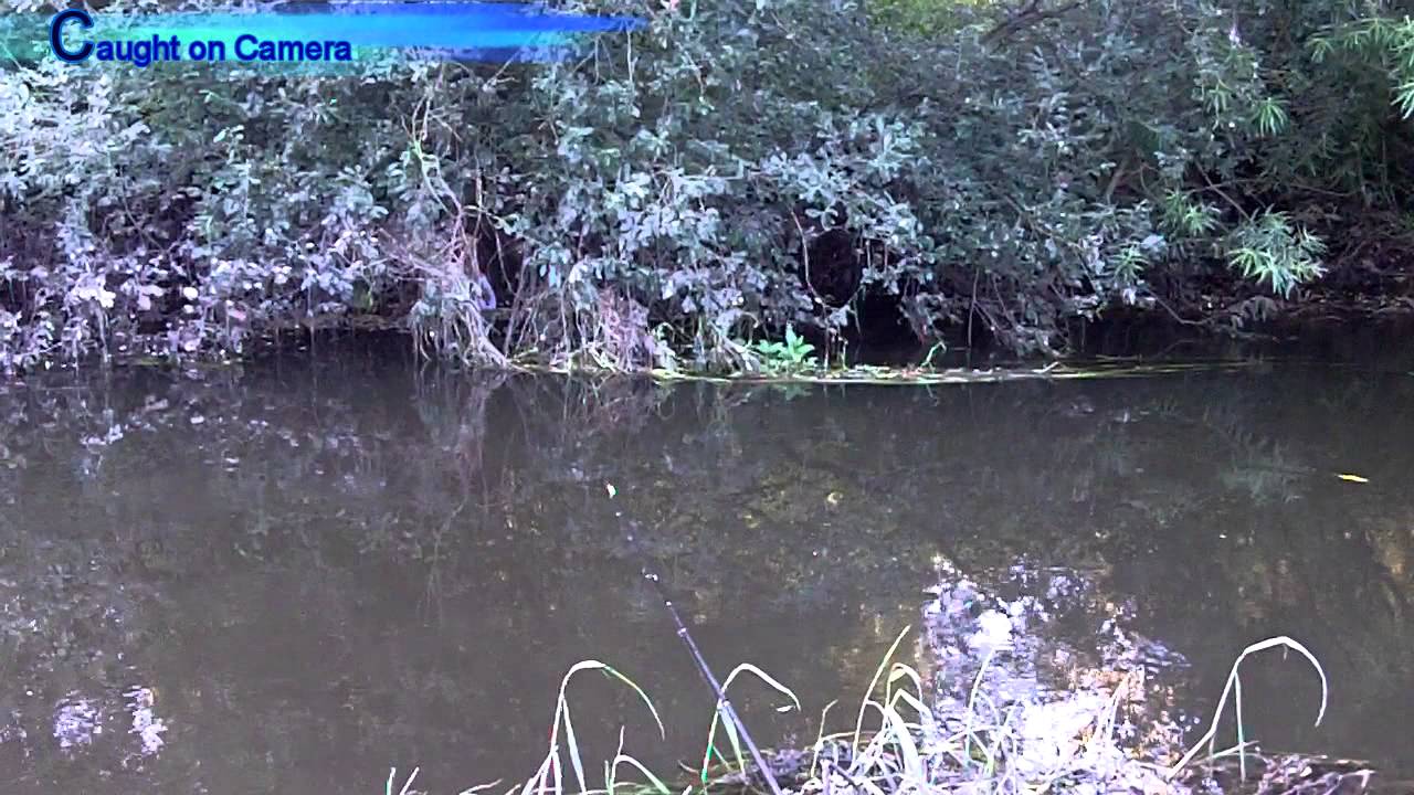 Fishing the river Sow in Stafford.