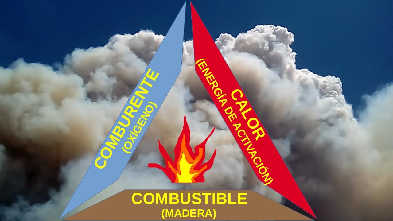 Cómo apagar incendios forestales