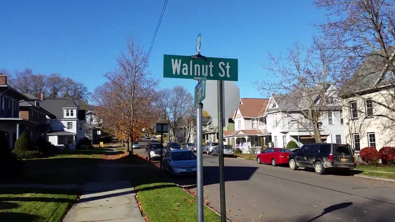 RDMVTL 19,321 ~ 11/14/2016 2 {MY DOG STORY} A WALK w/MAX : CANFIELD PARK / 1ST & WALNUT@ CORNING ,NY
