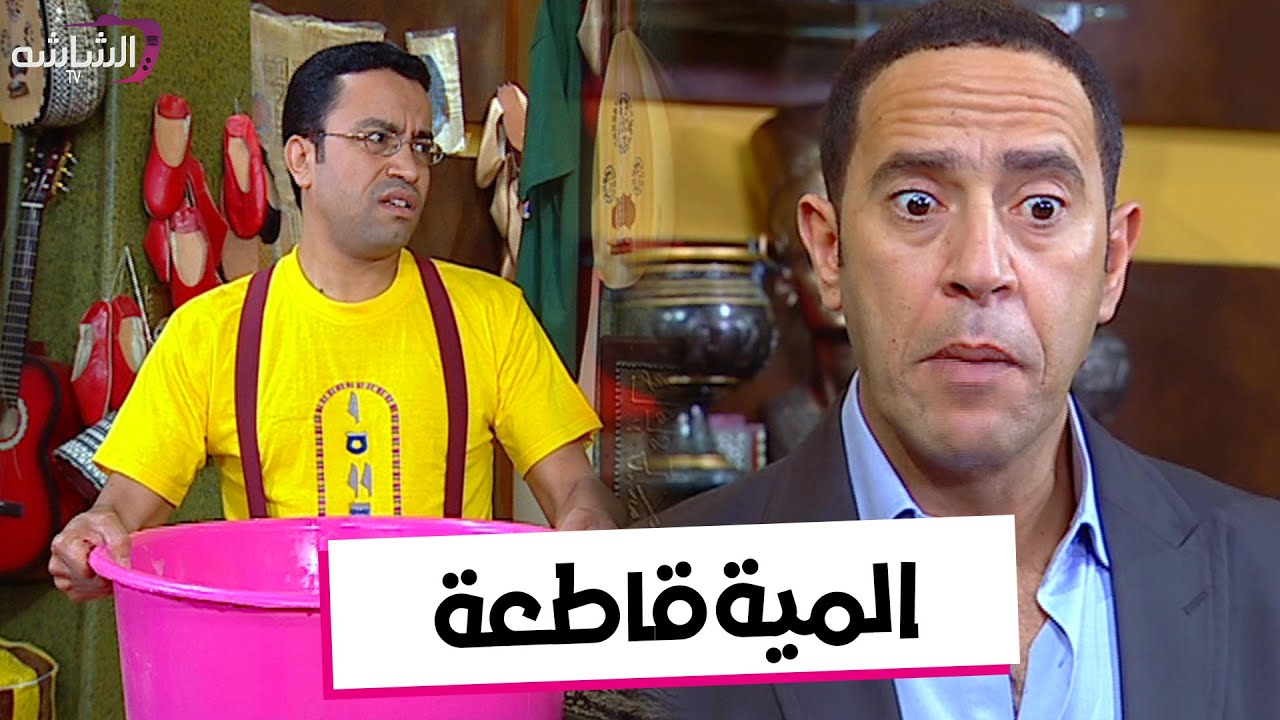 حصرياََ | المية قاطعة - من مسلسل #راجل_وست_ستات  2024