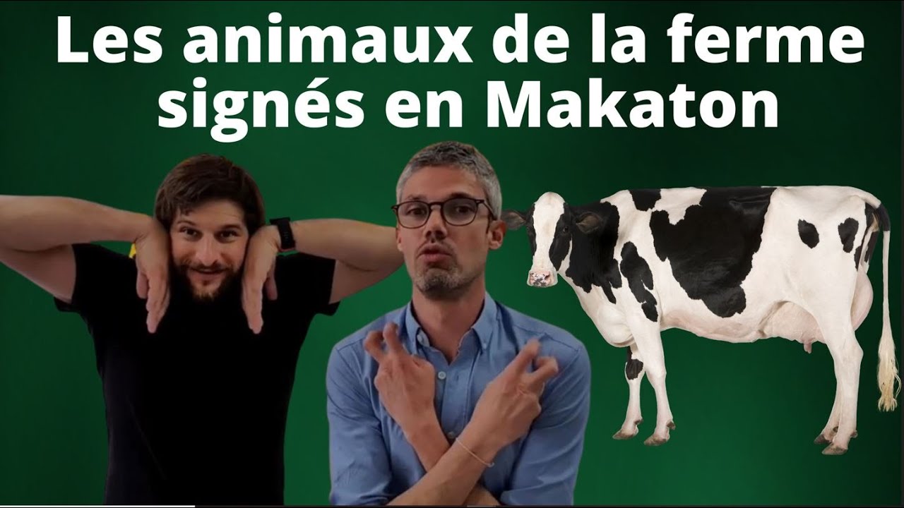 Les animaux de la ferme signés en Makaton