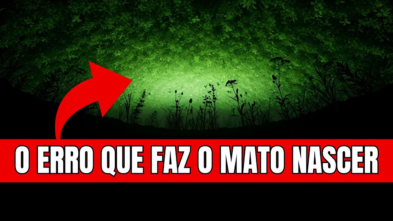 Pare de Capinar! Use Essas Plantas e o Mato Some Sozinho
