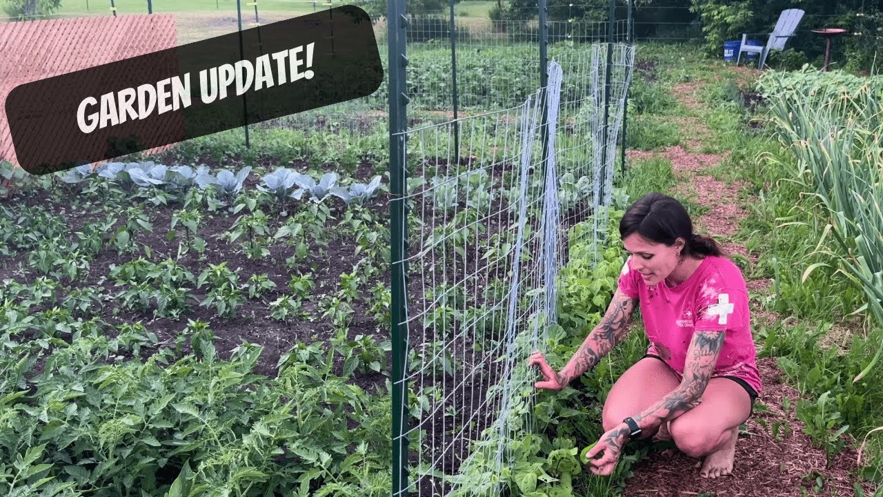 Garden Update | Homestead Garden Tour