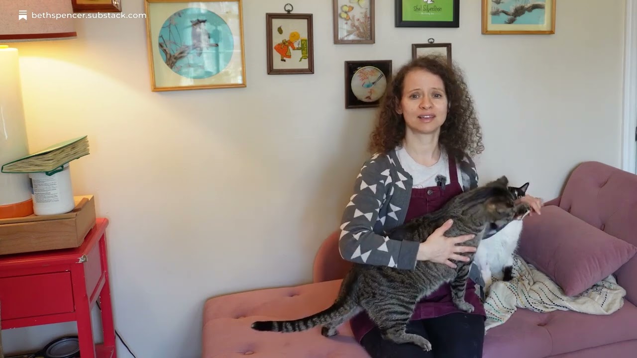 Three BIG tips for drawing cats