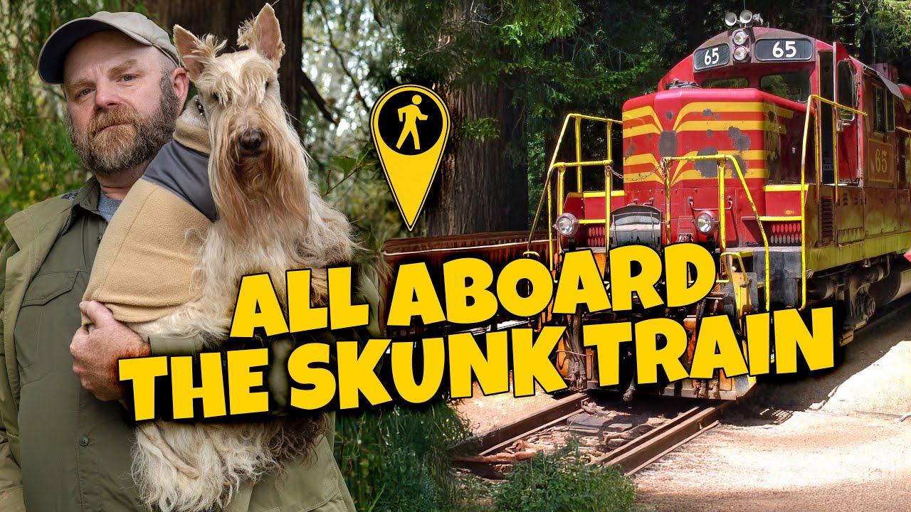 Exploring California's Majestic Redwoods on the Skunk Train!
