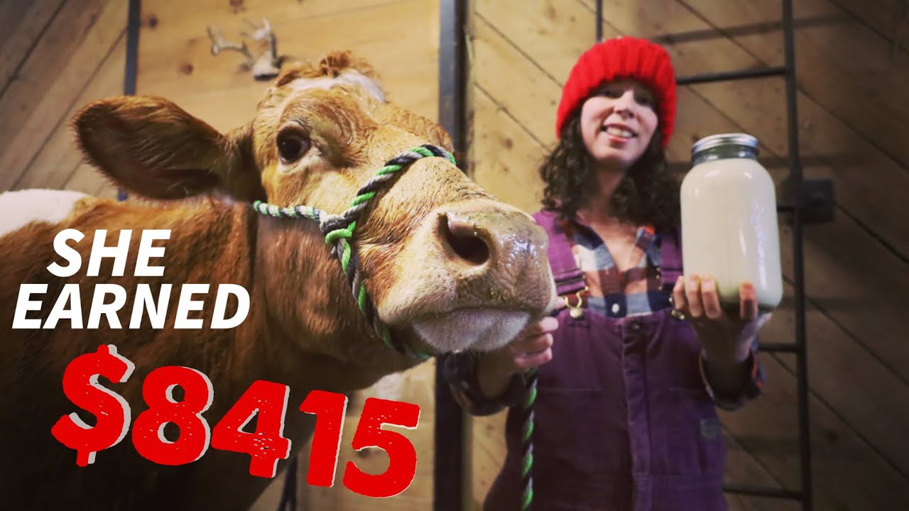 How to make your Milk Cow (WAY MORE) Profitable!