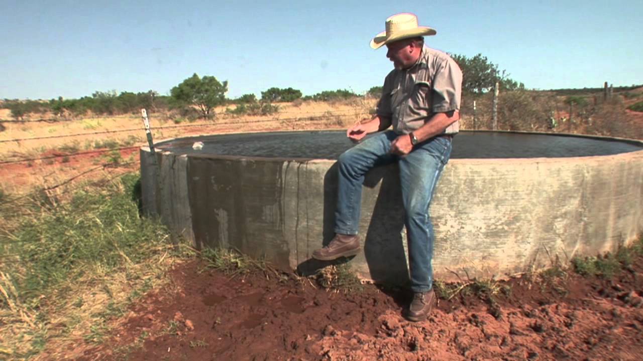 Quail Posts - Coping With Drought to Help Quail Populations - Texas Wildlife Association