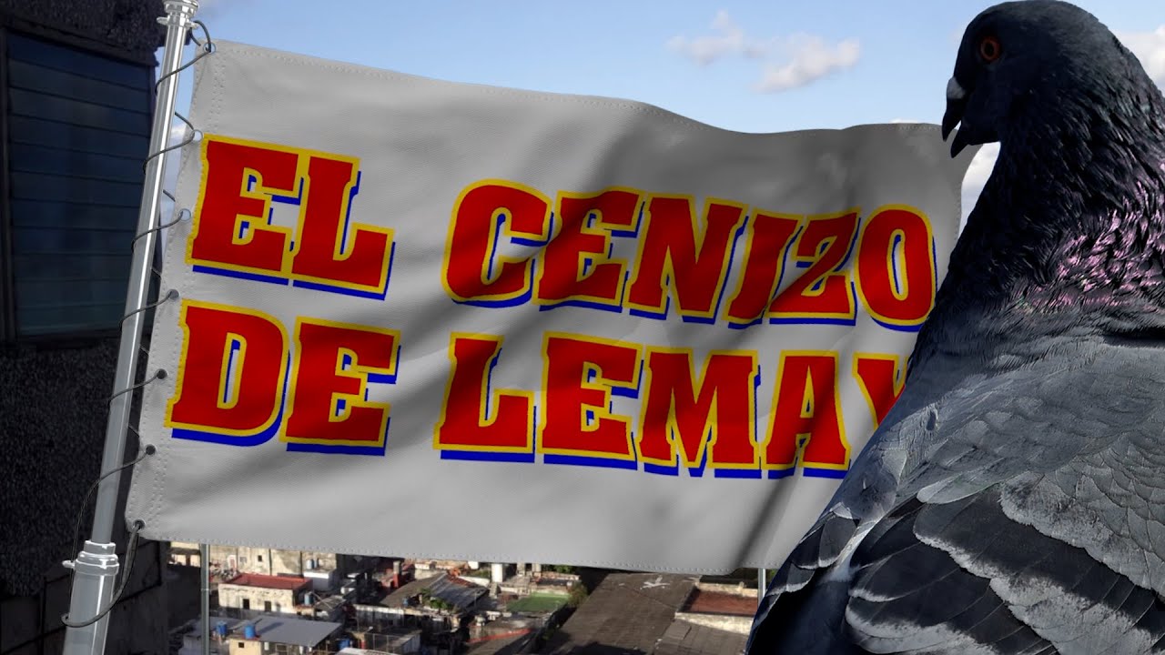 ✅ LAS 600 CAPTURAS DE UN PALOMO EXTRACLASE ✅  💥 EL CENIZO DE LEMAY 💥