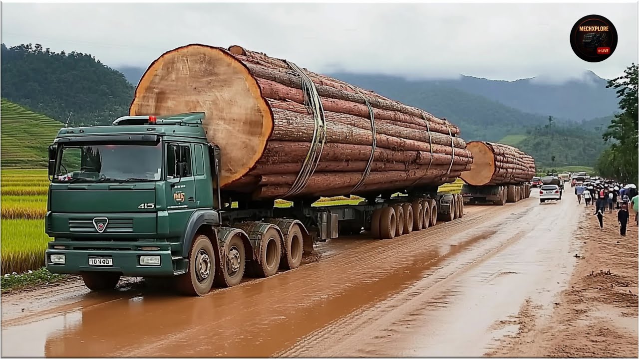 Extreme Logging Trucks | Extreme Dangerous Fastest Big Chainsaw Cutting Tree Machines #35