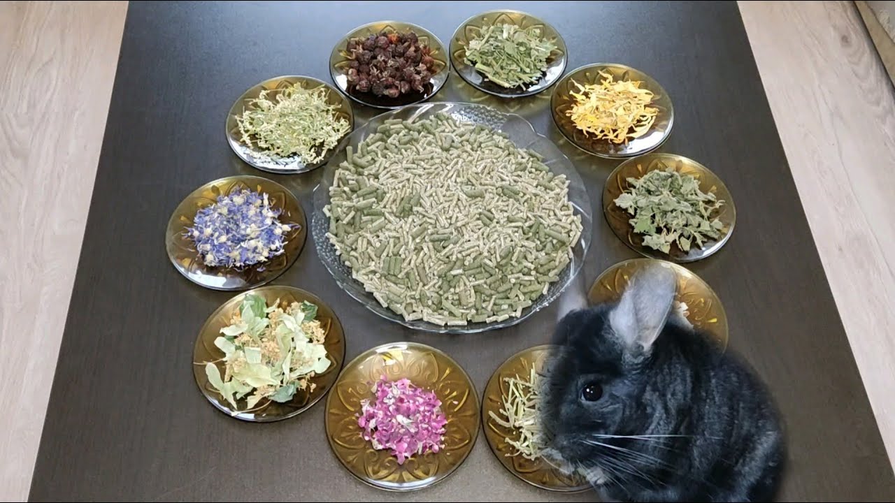 Приготовим корм для шиншилл😋🌱