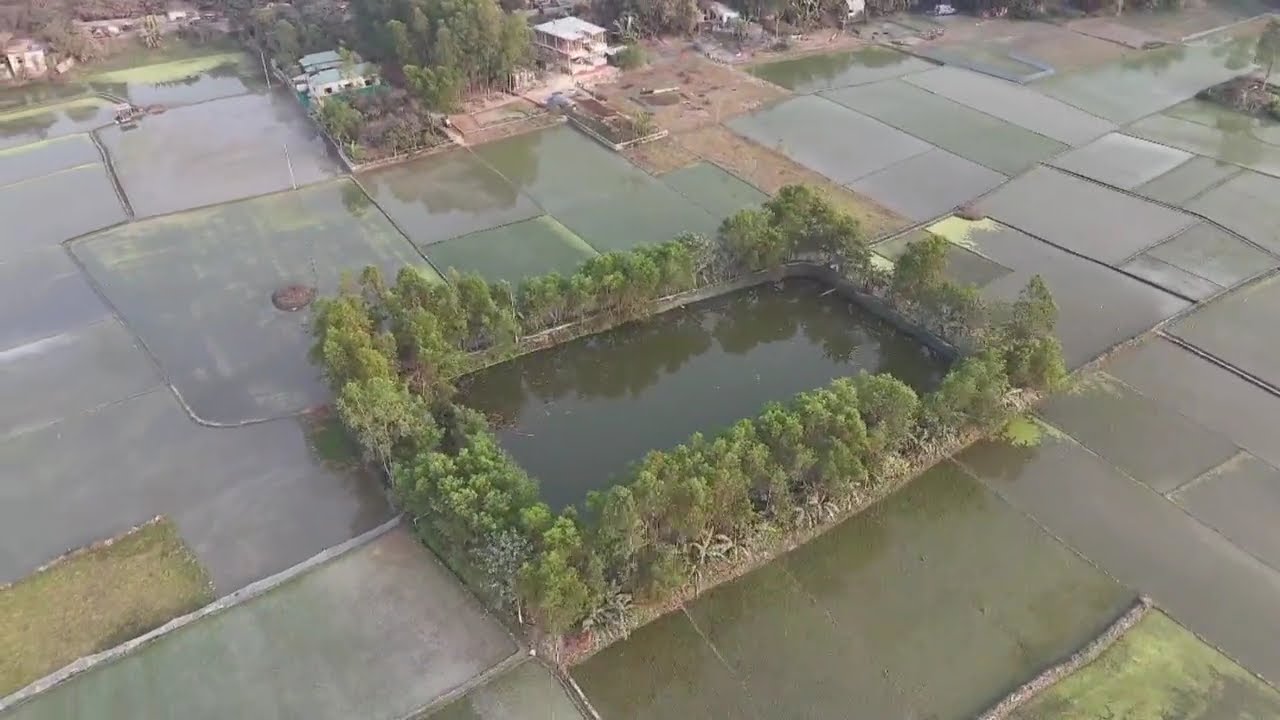 আমি দুর হতে তোমাকে দেখেছি।। প্রকৃতির ভিডিও 
