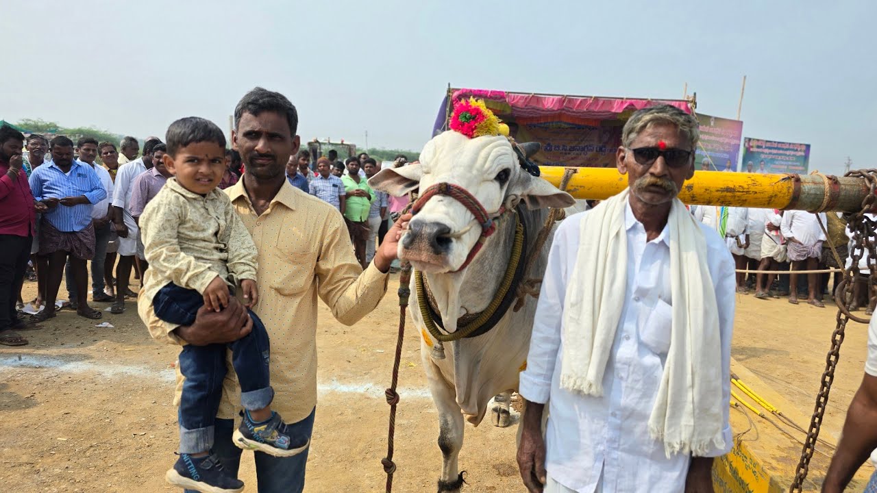 మహానంది న్యూ క్యాటగిరి విభాగంలో గోన నరసింహారెడ్డి గారు కోట కందుకూరు