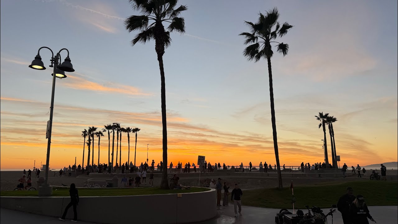 friday  rolling home santa monica to venice