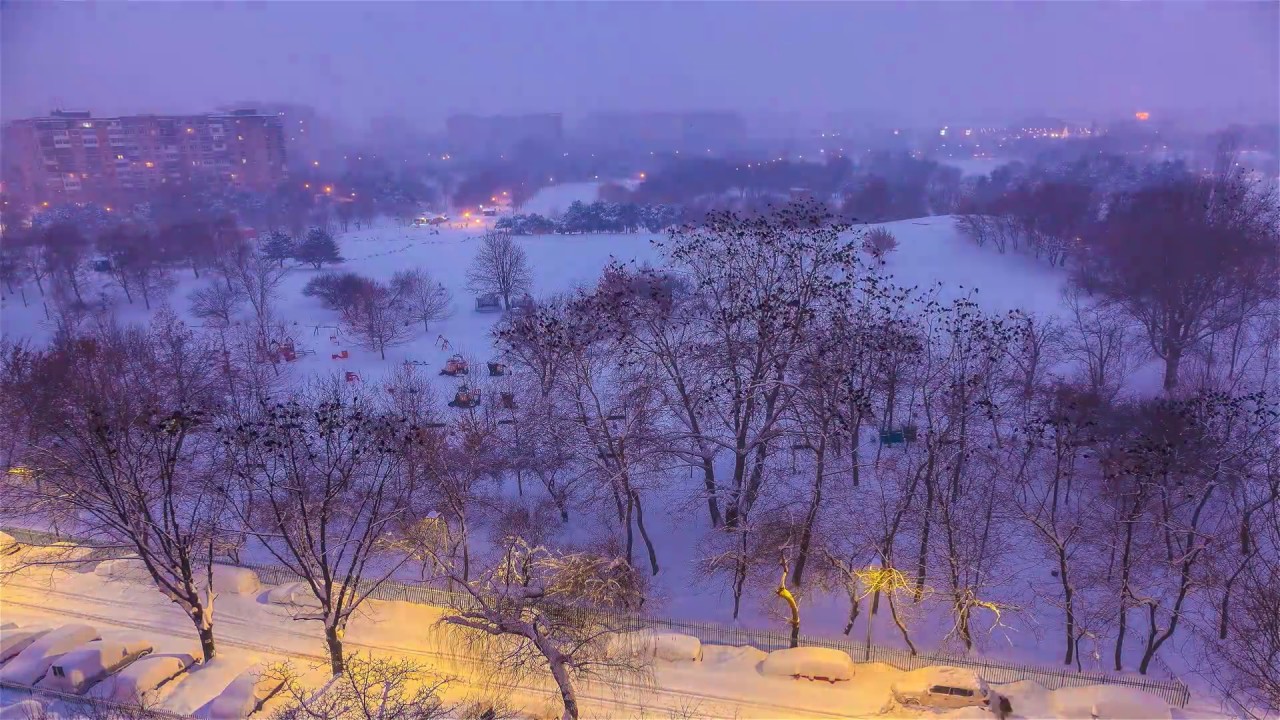first snow timelapse