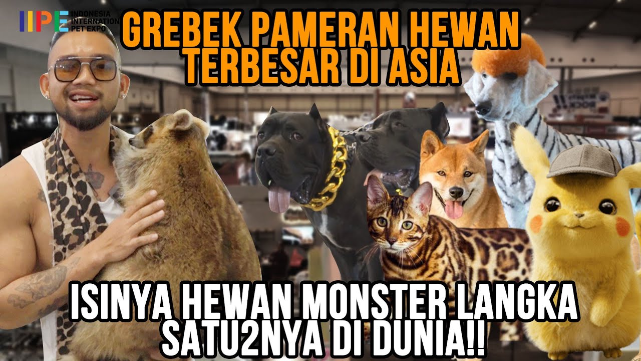 GAK MASUK AKAL! GREBEK PAMERAN HEWAN TERBESAR SE-ASIA! ISINYA HEWAN MONSTER LANGKA SATU2NYA DI DUNIA