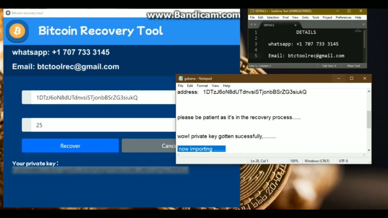 Btctool Recovery