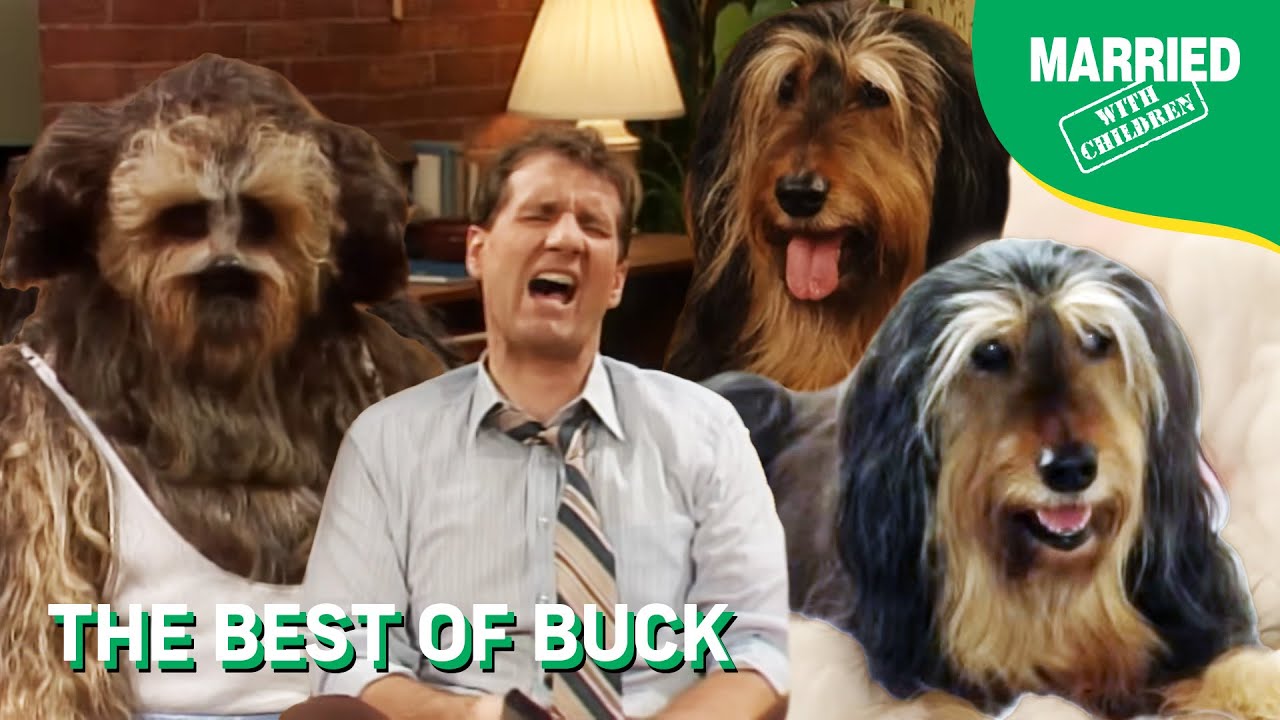 The Best Of Buck The Dog | Married With Children