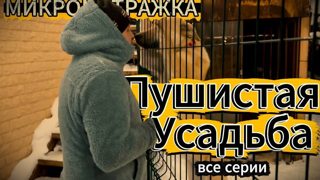 Микрометражка. Пушистая Усадьба. #микрометражка #артхаус #юмор #собаки #кот #документалка 